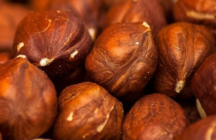 huiles vegetales noisette