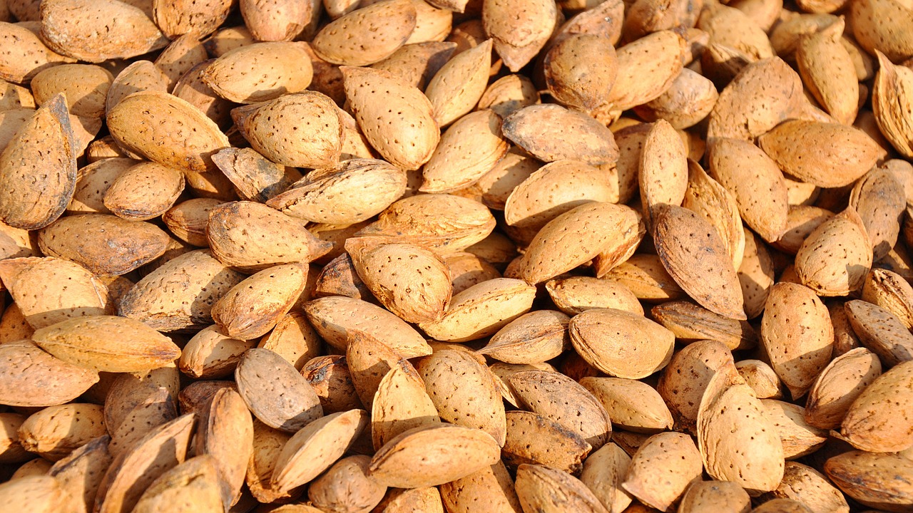 huile vegetale d'amandes